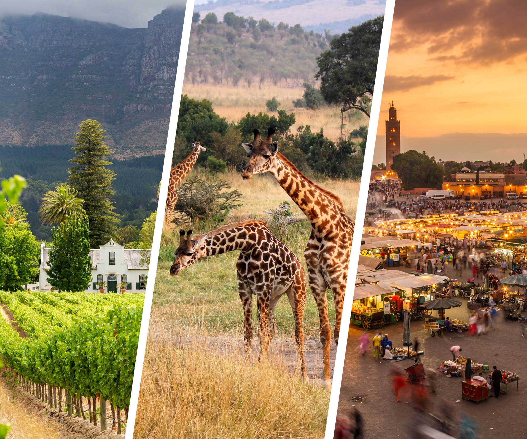 South African winery, giraffes on Serengeti and Marrakech market
